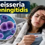 neisseria-meningitidis